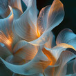 Translucent sea lily petals