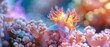 Sea slug on coral, close up, vivid colors, detailed texture, soft focus
