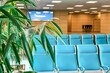 Tranquil airport waiting area with a row of empty turquoise seats, suggesting a peaceful moment before the bustle. The scene is brightened by indoor plants, inviting a sense of calm amidst travel