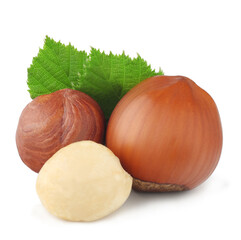 Wall Mural - Hazelnuts isolated on a white background
