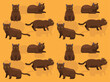 Cat British Shorthair Red Coat Cartoon Cute Seamless Wallpaper Background