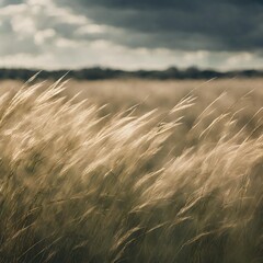 grasses in an idyllic field blowing over with strong wind - 1