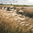 © Benjaporn - grasses in an idyllic field blowing over with strong wind - 1