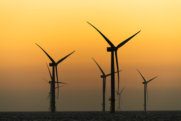 Canvas Print - Sunset view of the Offshore wind power systems off the western coast of Taiwan.