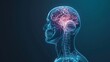 © Palung - 3D x-ray illustration of human brain from side view. The brain in glow color. Medical reference picture