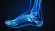 3d x-ray of ankle bone. Medical reference picture.