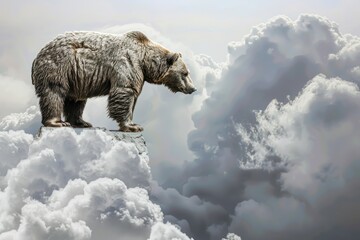 Poster -  Bear, symbol of the stock market going down. On the background of the cloudy sky 