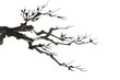 PNG Branch Japanese minimal art illustrated silhouette.