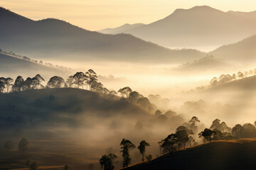 Wall Mural - Misty Mountain Sunrise Scenery