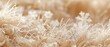 Snowflakes on fur, close up, intricate designs, soft focus, detailed