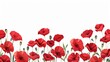 Decorative modern background with poppies in red.