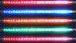 A realistic modern set of red, green, blue and white light strips, glowing tape with lamps and diode bulbs.