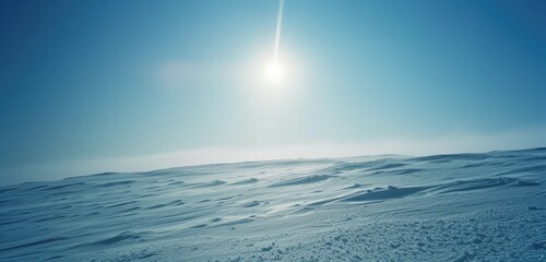 Poster - Pristine Snowy Landscape under Glistening Winter Sun