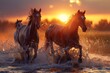 Three horses captured mid-gallop while splashing through water, with a stunning sunset in the background