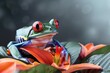 frog closeup on white. Beautiful simple AI generated image in 4K, unique.