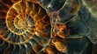 ammonite shell fractal spiral background.
