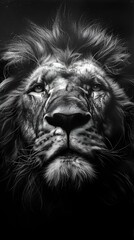 Canvas Print - AI generated illustration of a monochrome drawing of a lion