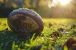 Close-up of rugby ball. Beautiful simple AI generated image in 4K, unique.