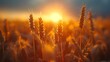 AI-generated illustration of the sun illuminating a golden wheat field