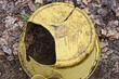 one old yellow broken plastic bowl with a big hole and cracks lies in the  fallen brown foliage on the street