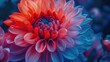 Close up of a vibrant red and blue flower, perfect for botanical designs