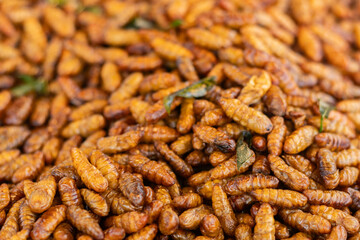 Wall Mural - close up of Fried silkworms