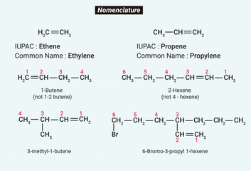 Wall Mural - Nomenclature is the language of sculpture. A set of names or terms.