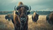 Majestic Bison Roaming Vast Untamed Landscapes Symbol of the American West and Indigenous Heritage