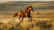 Majestic Wild Horse Galloping Across Open Fields Embodying the Spirit of Freedom and Adventure