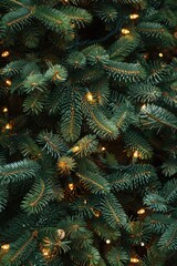 Poster - Festive close-up of a Christmas tree with twinkling lights. Perfect for holiday backgrounds