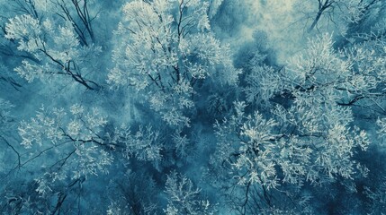 Aufkleber - A stunning aerial view of a snowy forest. Perfect for winter landscapes