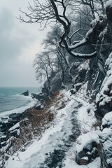 Poster - A serene winter scene with a snowy path alongside a peaceful body of water. Suitable for various winter-themed designs