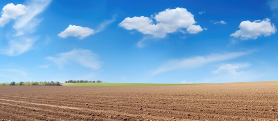 Poster - Plowed field with blue sky background