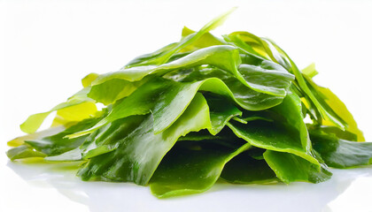 collection of seaweed isolated on a white background, colorful background