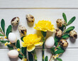 floral composition. Yellow primrose, white carnation flowers. Birch, olive tree branches, willow catkins twigs. Quail, hen eggs shells isolated on white table background. Spring flat lay, top