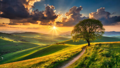 Wall Mural - Spring evening landscape with trees and sun in cloudy sky. Beautiful nature