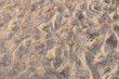 Sand on the beach of the Baltic Sea in Warnemünde in Mecklenburg-Western Pomerania in Germany