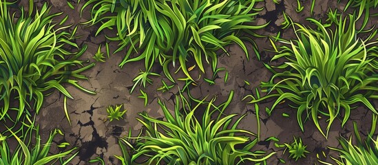 Poster - Green grasses covering the soil in a close-up view