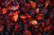 Beautiful colorful autumn fallen leaves top view. AI generated