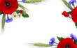 Wildflowers, flowers red poppy, daise, cornflower, wheat ears on a white background with space for text. Top view, flat lay