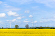 Electric windmills in field of rapeseed. Wind energy concept.