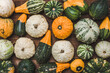 Fresh pumpkins background. Farmer market with decorative vegetables. Autumn harvest and Thanksgiving concept.