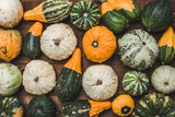 Fototapeta Tulipany - Fresh pumpkins background. Farmer market with decorative vegetables. Autumn harvest and Thanksgiving concept.