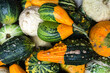 Selection of various pumpkins background. Gourds an squashes. Decorative vegetables harvest. Autumn Thanksgiving decorations.