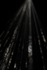 Wall Mural - mysterious light rays in the shadows