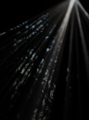 Wall Mural - mysterious light rays in the shadows