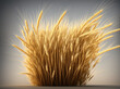 A Field of Golden Wheat