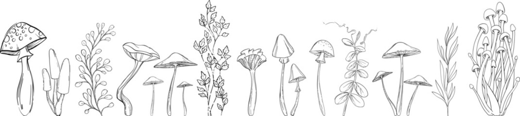 Wall Mural - Mushrooms and plants hand drawn linear black and white vector set.