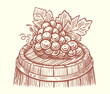 Bunch of grapes with leaves on wooden barrel. Wine, winery sketch vintage vector illustration