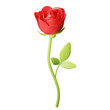 Red rose with green leaf isolated on white background. 3d rendering     